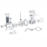 Brida-trasera-para-motobomba-SCUS------------------