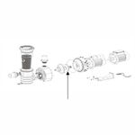Impeler-para-motobomba-SB20-2--------------------------